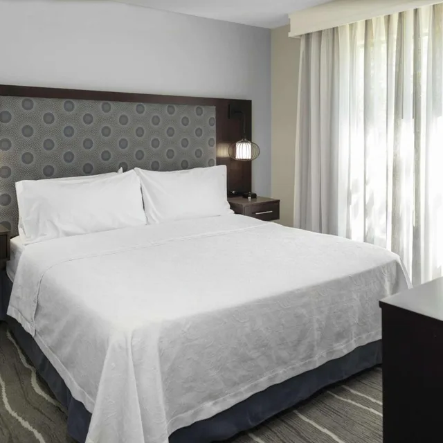 جناح بسرير كينج بغرفة نوم واحدة مع أريكة، HOMEWOOD SUITES BY HILTON COLUMBIA 1/4