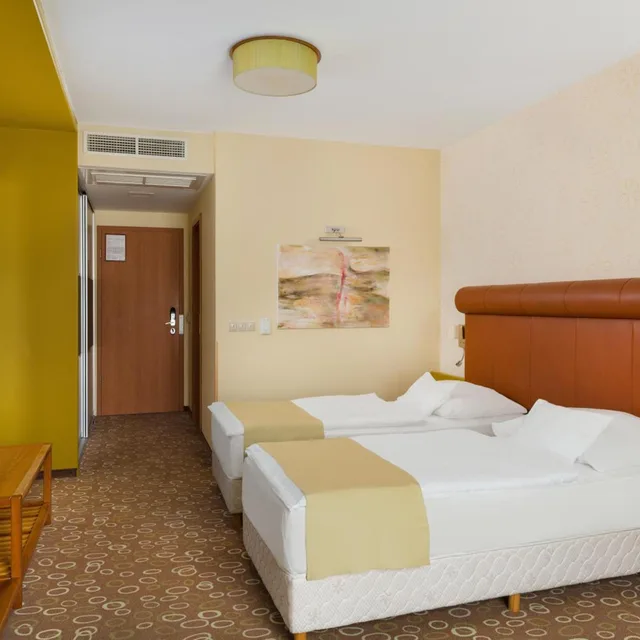 غرفة قياسية بسرير مزدوج أو سريرين منفصلين، Corso Hotel Pecs 1/9