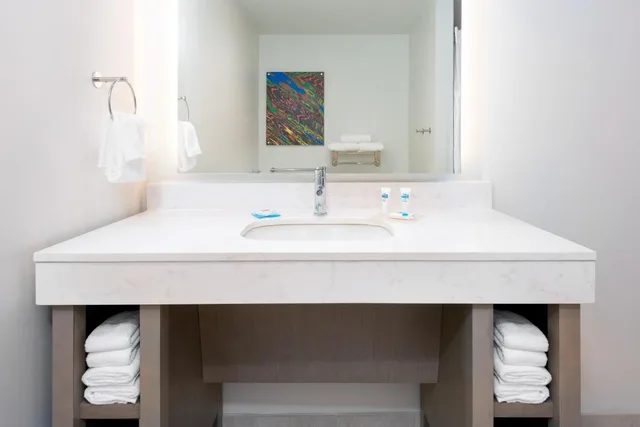 غرفة بسرير كينج بحوض استحمام لذوي الإعاقة، Hyatt House Tampa Airport Westshore 3/4