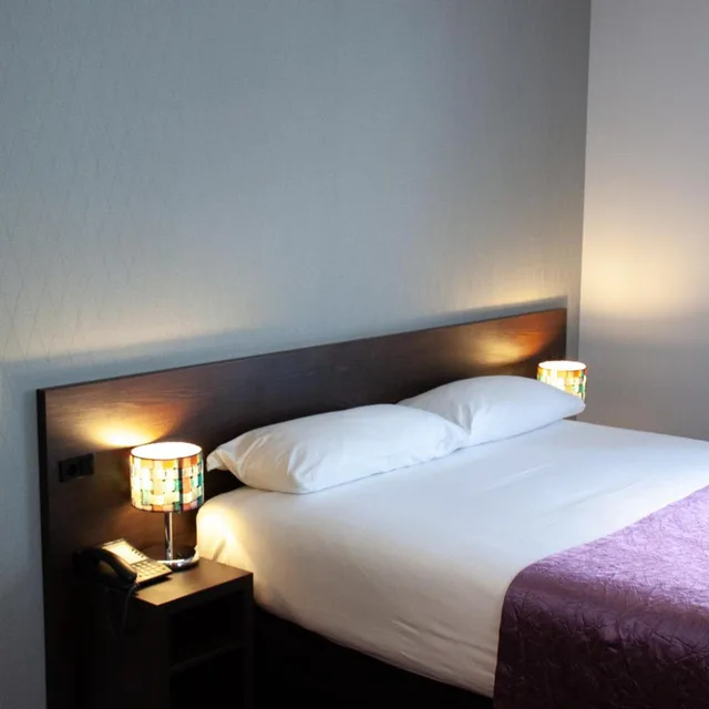 غرفة ديلوكس بسرير مزدوج، Hotel Luxer 3/10