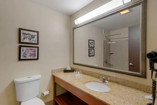 جناح بسرير كينج، Comfort Suites Columbus State University Area 1/1