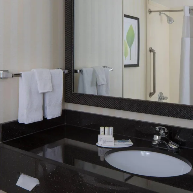 Room, King Bed, Bathtub, Accessible, Fairfield Inn & Suites Orlando Lake Buena Vista 3/3