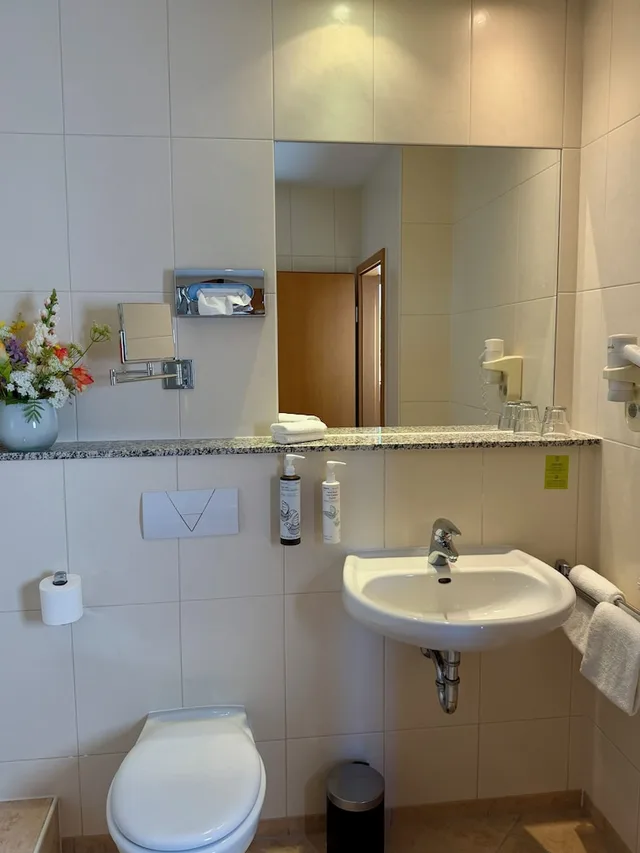 غرفة سوبيريور بسرير مزدوج بإطلالة على النهر، Hotel Am Rhein Wesseling 4/7