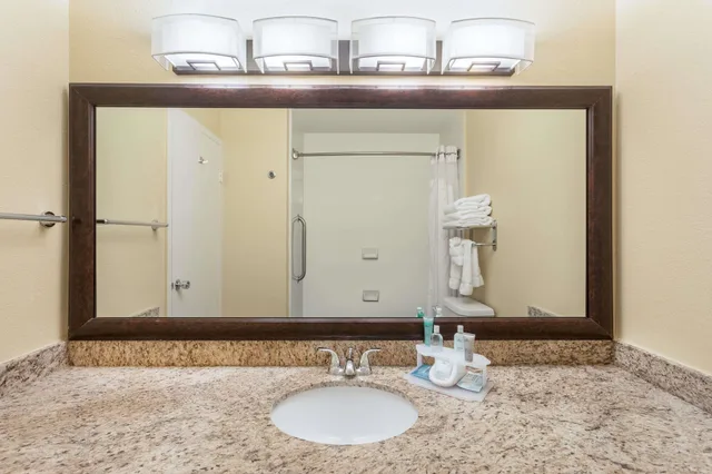 غرفة كلاسيكية بسرير كينج، Wyndham Garden Summerville 10/10