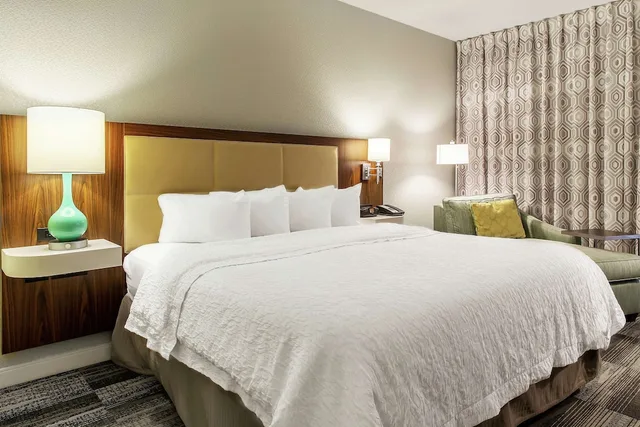 غرفة بريميوم بسرير كينج لذوي الإعاقة، Hampton Inn Minneapolis/St. Paul-Woodbury 1/2