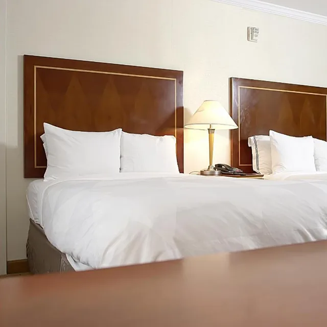 غرفة بسريرين مزدوجين، Hotel Executive Suites 8/10
