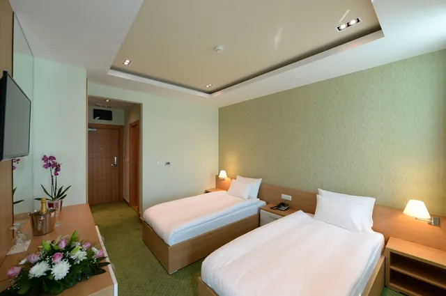 غرفة قياسية بسريرين منفصلين بإطلالة على الجبل، Hotel Hedonic 3/5