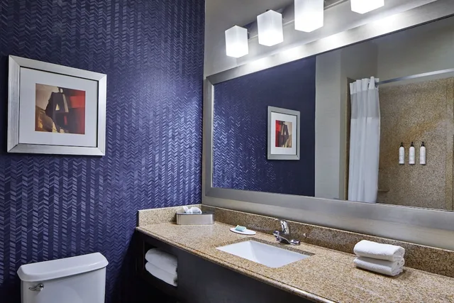 استوديو بسريرين مزدوجين مع أريكة لذوي الإعاقة، Fairfield Inn and Suites Gainesville 1/1
