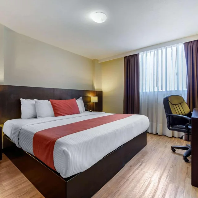 Efficiency, Superior, Suite، Comfort Inn San Luis Potosi 3/10