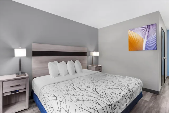 Room, King Bed, Pet Friendly, Bathtub, Accessible, Best Western Blythe 3/9
