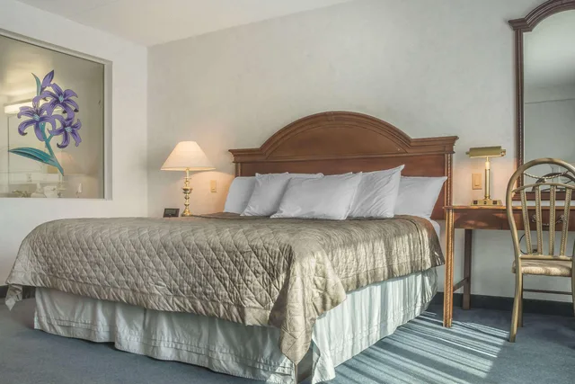 غرفة بسرير فردي، Rodeway Inn Fallsview Niagara Falls 1/2