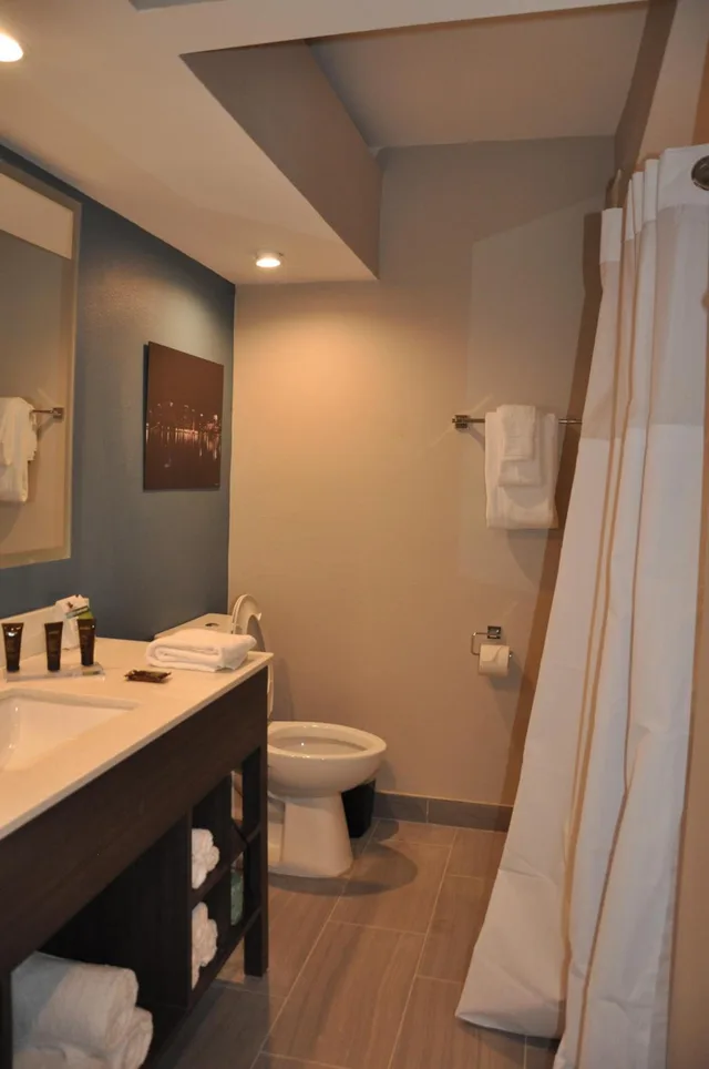 غرفة بسرير كينج لذوي الإعاقة، Nobile Hotel Parkway at Celebration Orlando 4/4