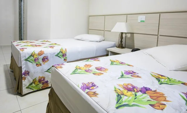 غرفة قياسية مفردة بسرير مزدوج، Hotel Golden Park Sorocaba & Convencoes by Nacional Inn 4/6