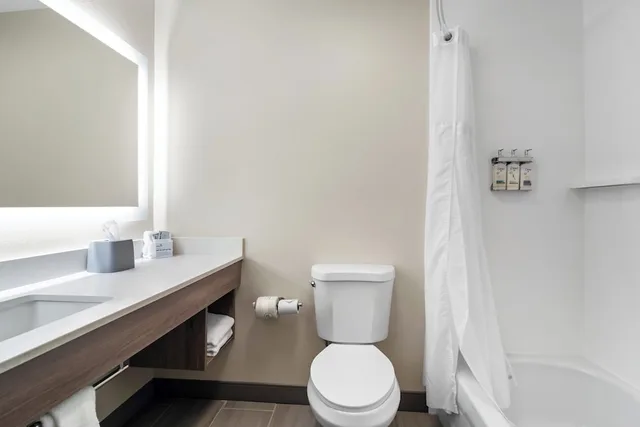 غرفة بريميوم بسرير فردي، Holiday Inn Express And Suites Joplin Southeast by IHG 1/1