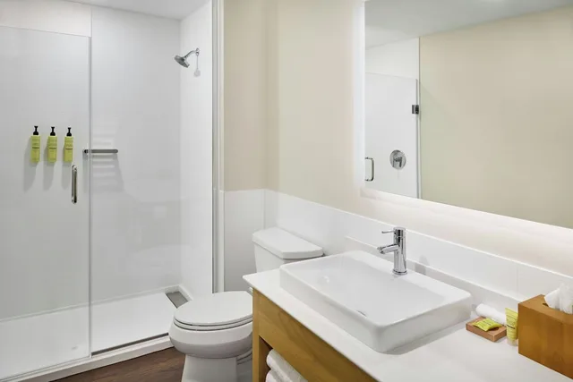 جناح بسرير كينج مع أريكة لذوي الإعاقة، Element by Marriott Branson 6/6