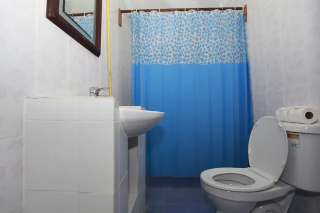غرفة قياسية بسرير مزدوج، Vangsavath Hotel 4/4
