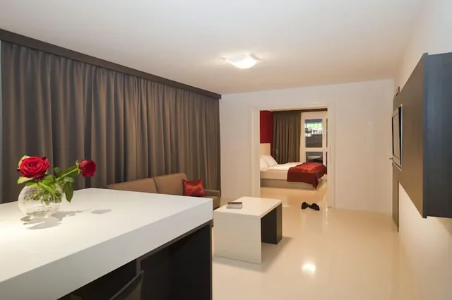 جناح بريميوم بسرير كينج مع أريكة، HOTEL CITY MARIBOR 6/10