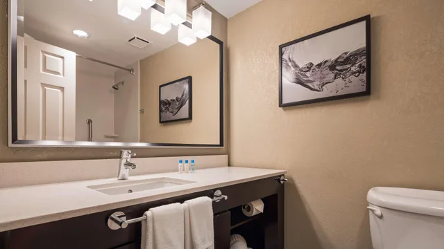 غرفة بسرير كينج بحوض استحمام، Best Western Plus Hollywood/Aventura 2/2