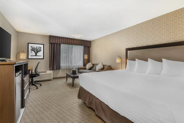 Executive, King Bed, Best Western Plus Country Meadows Inn 1/6
