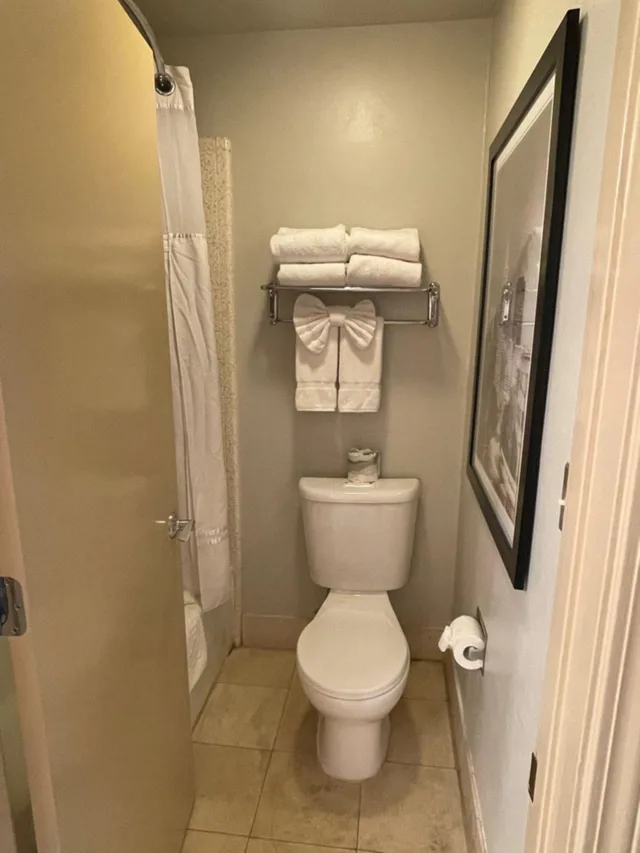 غرفة بسريرين كوين لذوي الإعاقة، Surestay Plus Hotel By Best Western Mountain View 9/10