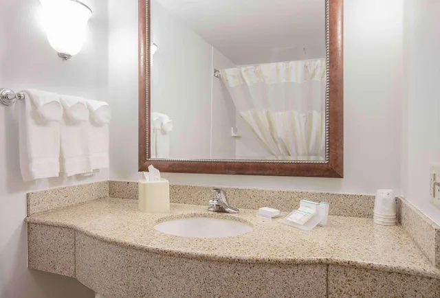 جناح ديلوكس بسرير كينج بغرفة نوم واحدة لذوي الإعاقة، Hilton Garden Inn Des Moines/Urbandale 1/2