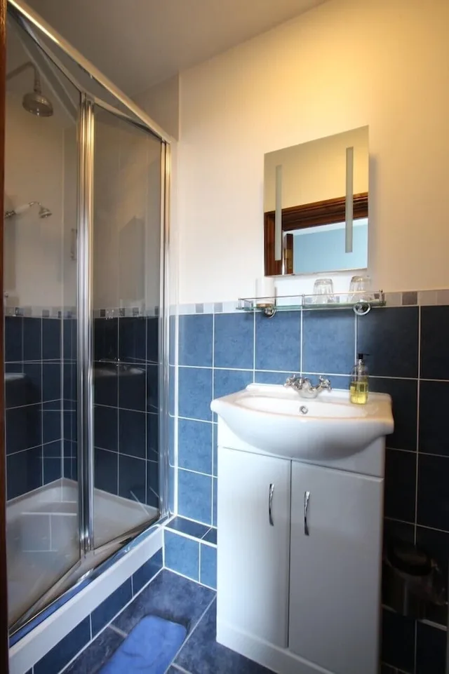 غرفة بسرير مزدوج يُسمح فيها بالحيوانات الأليفة، Taunton House B and B 2/2