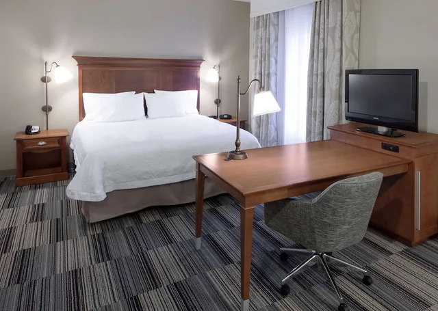 Studio, King Bed, Sofa, Hampton Inn & Suites Colorado Springs/I-25 South 1/4