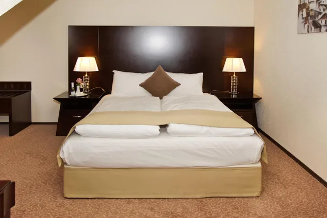 غرفة مفردة كبيرة، Grand Palace Hotel Hannover 1/5