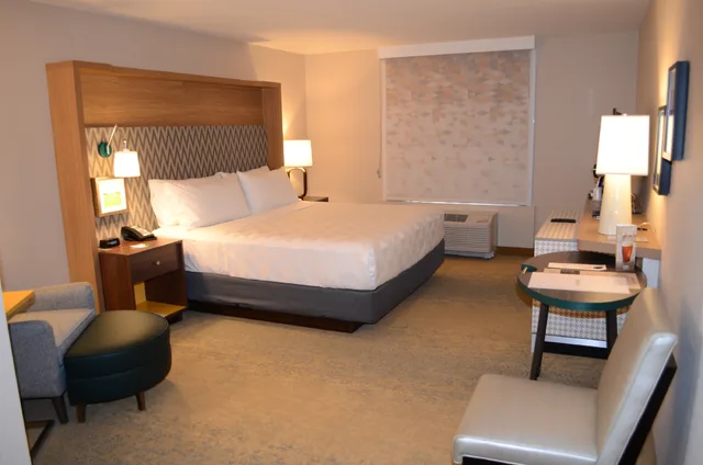 Leisure, King Bed، Holiday Inn Edmonton S Ellerslie Rd 2/8
