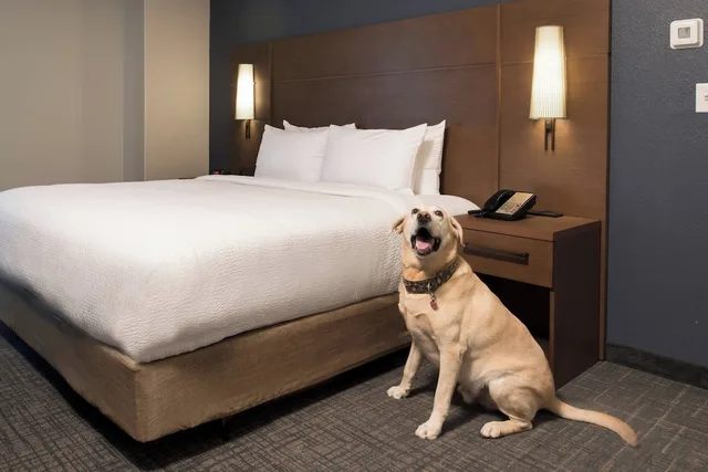 جناح بغرفة نوم واحدة، Residence Inn Memphis Downtown 2/7