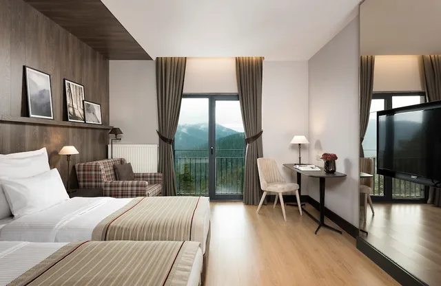 Mansion, Double Bed، Ferko Ilgaz Mountain Resort 1/3