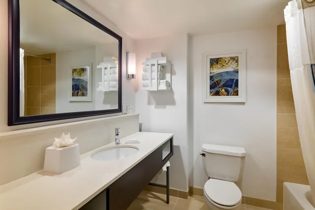 غرفة بسرير كينج بإطلالة على المدينة، Hampton Inn Washington Downtown Convention Center 3/3