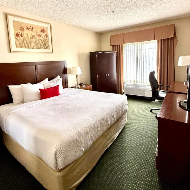 جناح ديلوكس لذوي الإعاقة، Ramada By Wyndham Denver International Airport 1/3