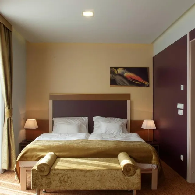 غرفة سوبيريور بسرير مزدوج أو سريرين منفصلين، Szent Gellert Hotel 1/9