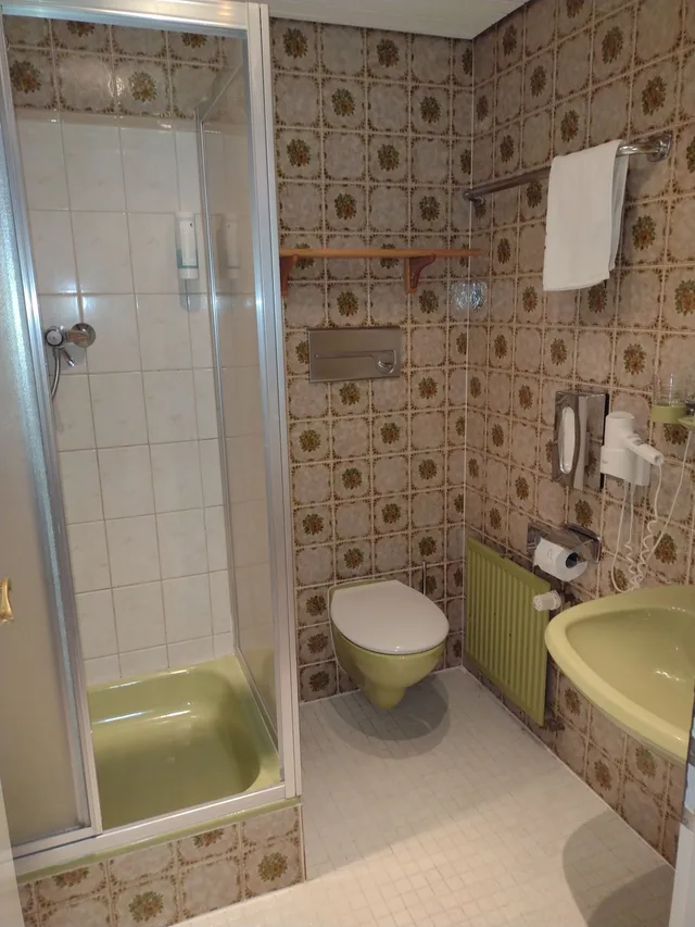 Modern, Family, 1 Double and 1 Single Bed, Balcony, Hotel Waldblick 8/10