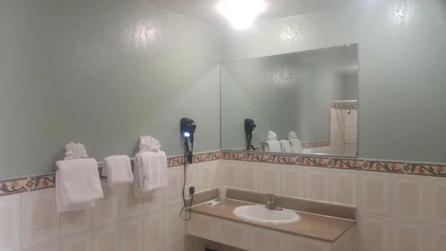 غرفة قياسية بسرير كينج، Riviera Motel 5/5