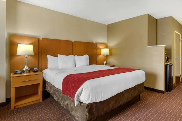 Room, King Bed, Sofa, Comfort Suites Hanes Mall 2/5