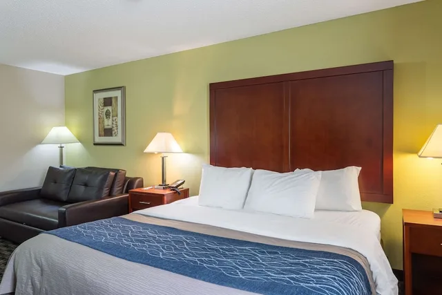 غرفة بسرير كينج لذوي الإعاقة، Comfort Inn Decatur Priceville 1/3
