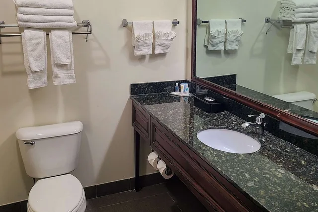 جناح بسريرين مزدوجين مع أريكة، Comfort Suites Madison West - Middleton 8/10