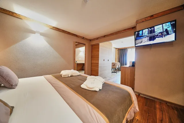 Junior Suite, Studio, Queen Bed, Sofa، Hotel Excelsior Planet 1/5