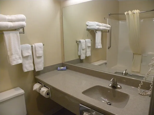 غرفة سوبيريور بسرير كينج، New Victorian Inn and Suites 4/4