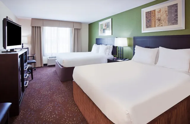 جناح استوديو بسريرين كوين لذوي الإعاقة، Holiday Inn Express Hotel Suites Rochester 1/4