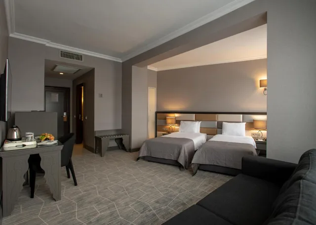 غرفة ديلوكس بسرير مزدوج أو سريرين منفصلين بإطلالة على المدينة، Taksim Square Hotel 3/10