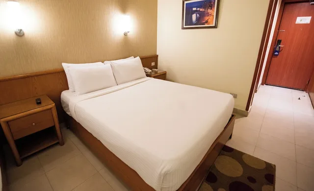 غرفة سوبيريور مفردة، The Grand Plaza Hotel Smouha 3/10