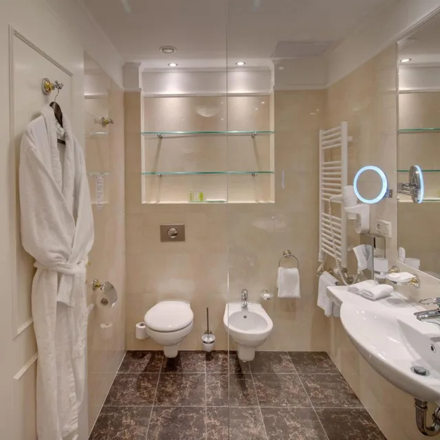 Wellness, Superior, Deluxe, King Bed، Nove Lazne Ensana Health Spa Hotel 7/7