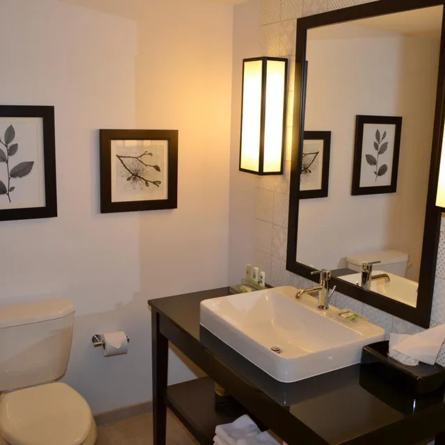 استوديو بسرير كينج، Country Inn Suites By Radisson Roseville St Paul 6/7