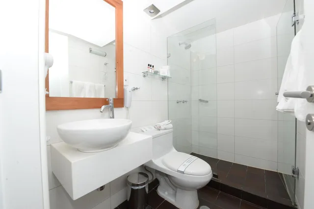 غرفة قياسية بسريرين منفصلين، Hotel Plaza de Armas 8/8