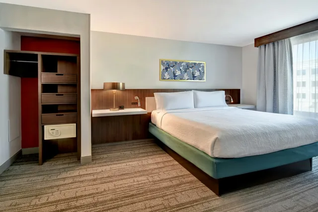 جناح بسرير كينج بغرفة نوم واحدة، Hilton Garden Inn Houston/Galleria Area 2/5