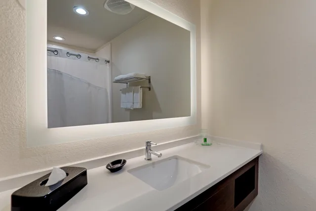 غرفة بسرير كينج، Holiday Inn Mobile - Airport 3/3