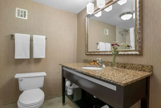 غرفة بسرير كينج، Best Western Plus Tallahassee North Hotel 8/8